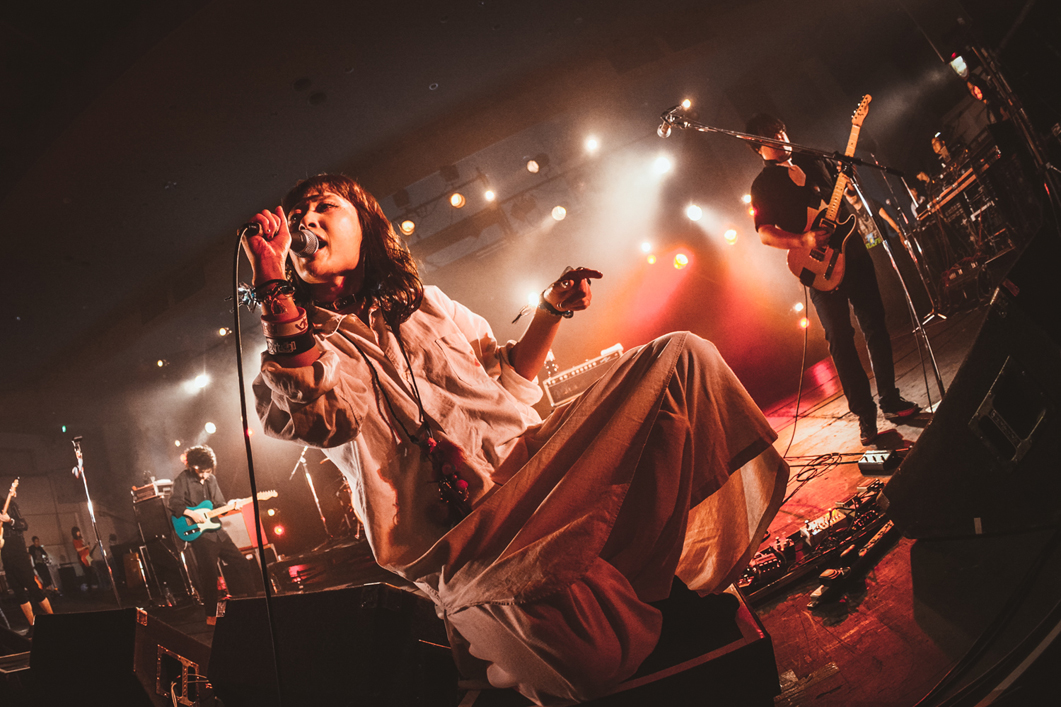 嘘とカメレオン